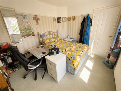 Picture 16